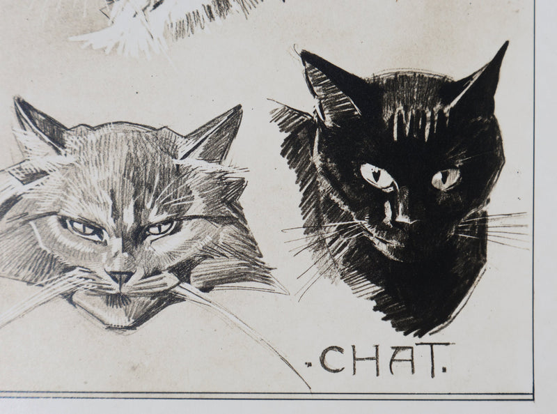 Mathurin MEHEUT : Le Chat, Lithographie