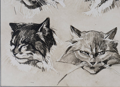 Mathurin MEHEUT : Le Chat, Lithographie