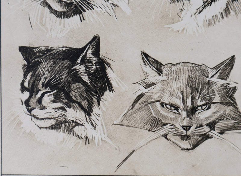 Mathurin MEHEUT : Le Chat, Lithographie
