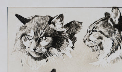 Mathurin MEHEUT : Le Chat, Lithographie