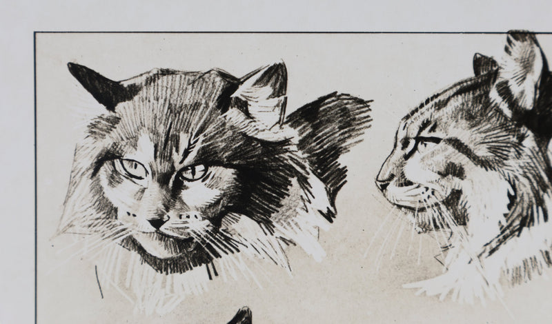 Mathurin MEHEUT : Le Chat, Lithographie