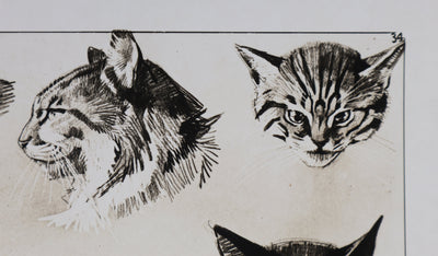 Mathurin MEHEUT : Le Chat, Lithographie