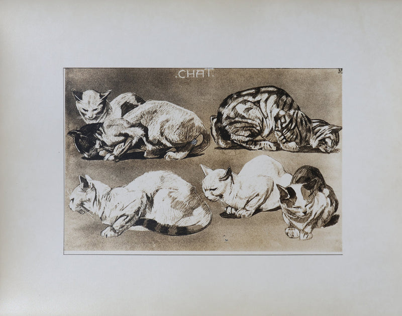 Mathurin MEHEUT : Le Chat, Lithographie