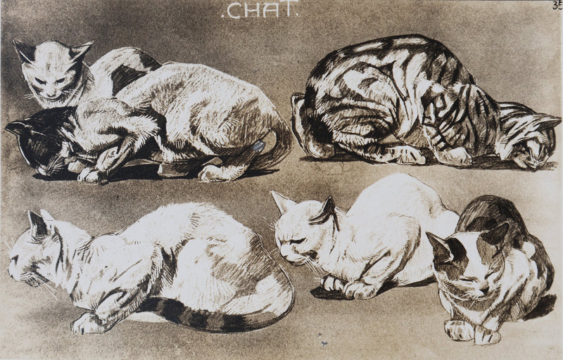 Mathurin MEHEUT : Le Chat, Lithographie