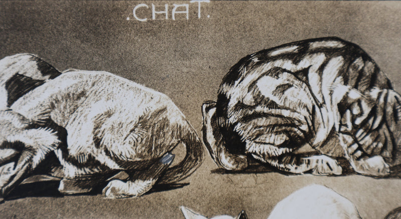 Mathurin MEHEUT : Le Chat, Lithographie