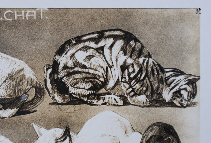 Mathurin MEHEUT : Le Chat, Lithographie