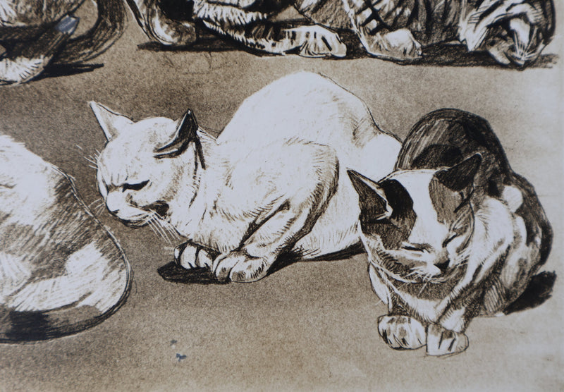 Mathurin MEHEUT : Le Chat, Lithographie