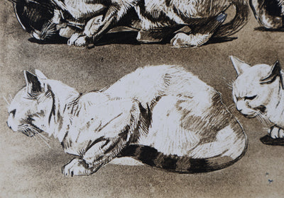 Mathurin MEHEUT : Le Chat, Lithographie