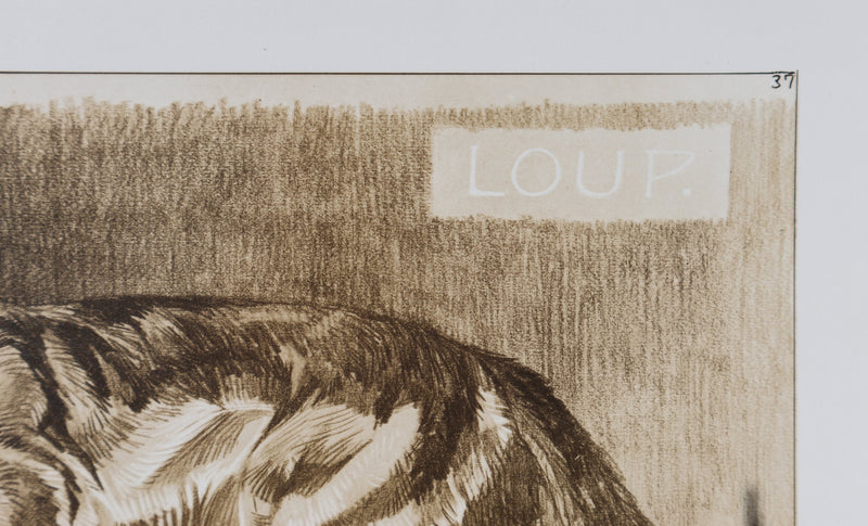 Mathurin MEHEUT : Le Loup, Lithographie