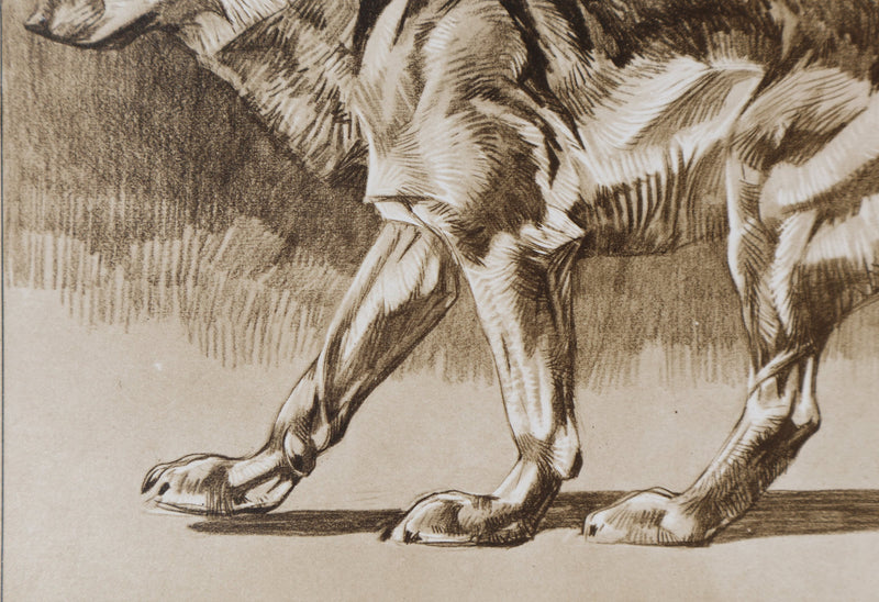 Mathurin MEHEUT : Le Loup, Lithographie