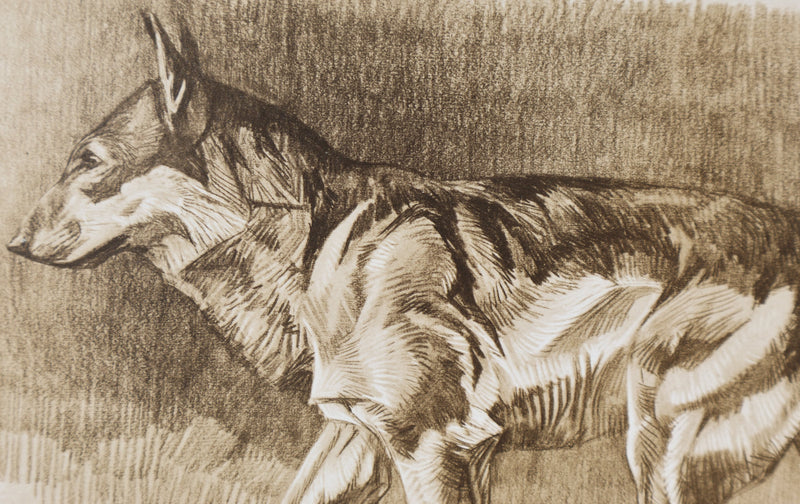 Mathurin MEHEUT : Le Loup, Lithographie