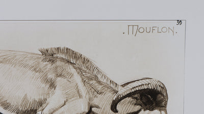 Mathurin MEHEUT : Le Mouflon, Lithographie
