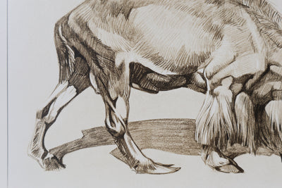 Mathurin MEHEUT : Le Mouflon, Lithographie
