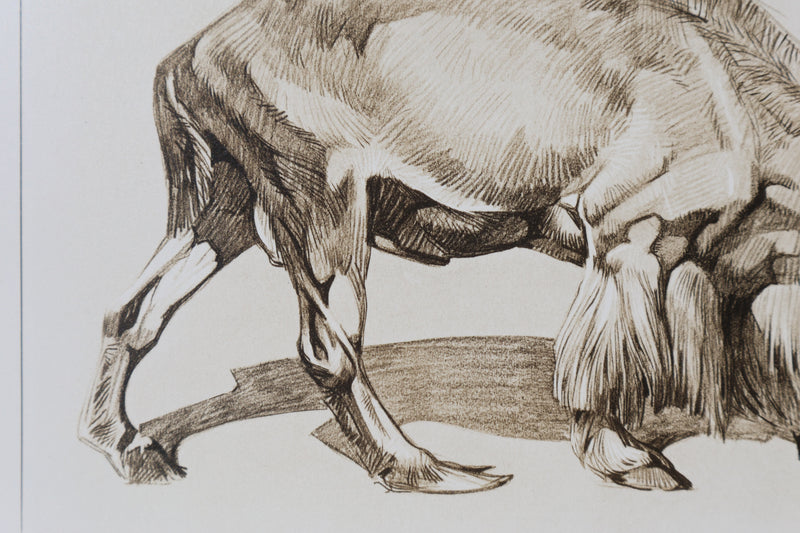 Mathurin MEHEUT : Le Mouflon, Lithographie