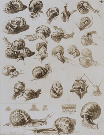 Mathurin MEHEUT : L'Escargot, Lithographie signée