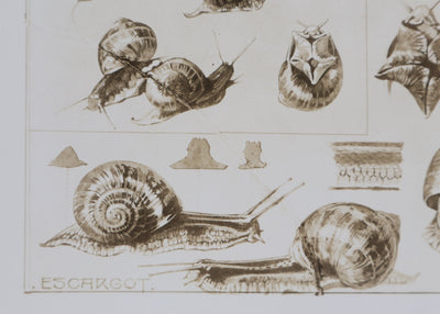 Mathurin MEHEUT : L'Escargot, Lithographie signée