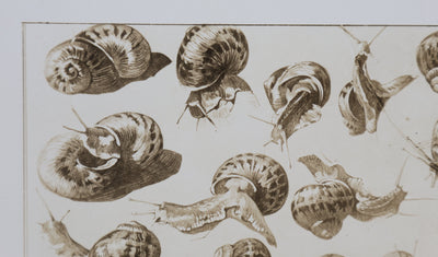 Mathurin MEHEUT : L'Escargot, Lithographie signée