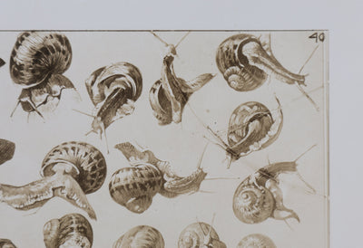 Mathurin MEHEUT : L'Escargot, Lithographie signée