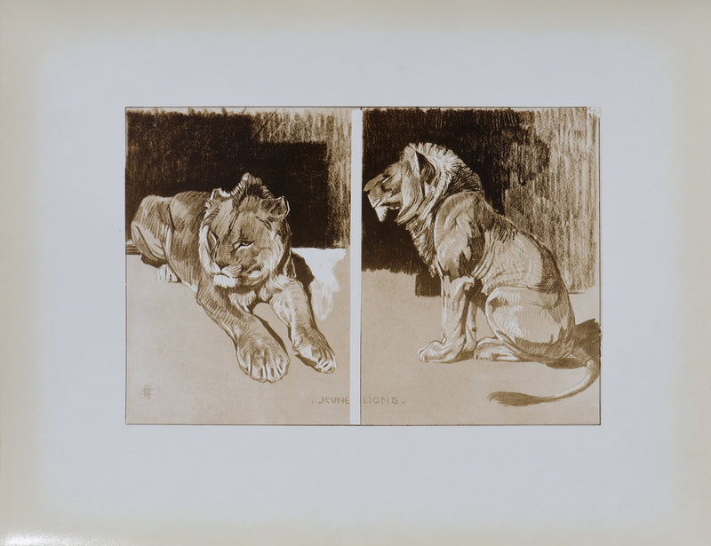 Mathurin MEHEUT : Le Lion, Lithographie signée