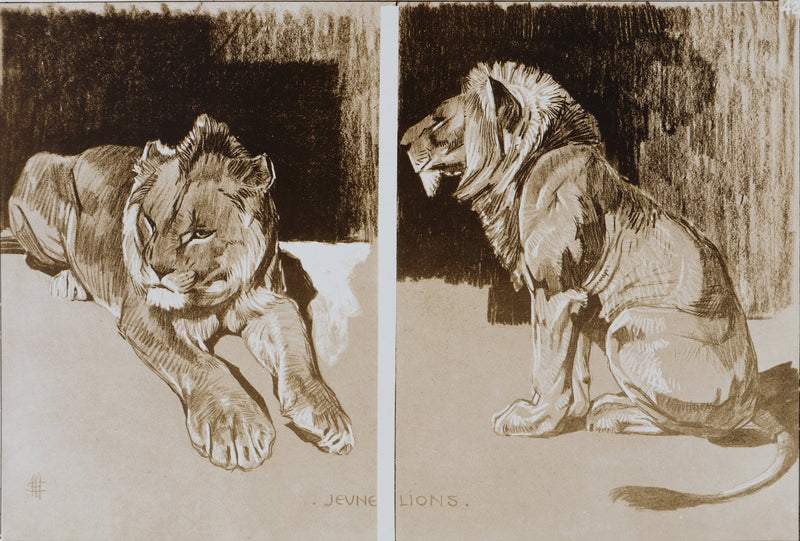Mathurin MEHEUT : Le Lion, Lithographie signée