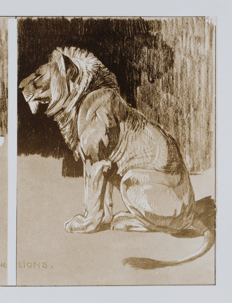 Mathurin MEHEUT : Le Lion, Lithographie signée
