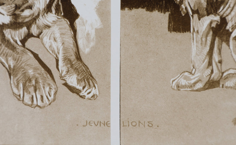 Mathurin MEHEUT : Le Lion, Lithographie signée
