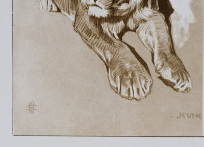 Mathurin MEHEUT : Le Lion, Lithographie signée