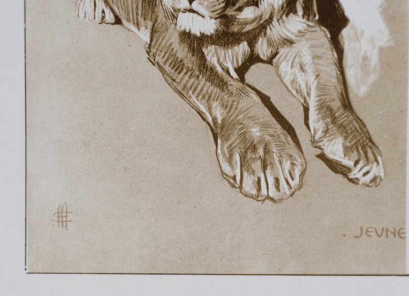 Mathurin MEHEUT : Le Lion, Lithographie signée