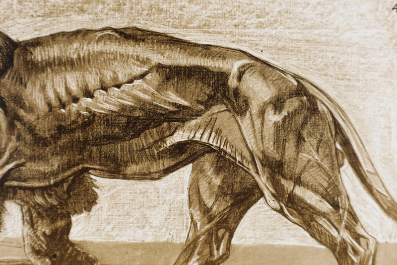 Mathurin MEHEUT : Le Lion, Lithographie signée