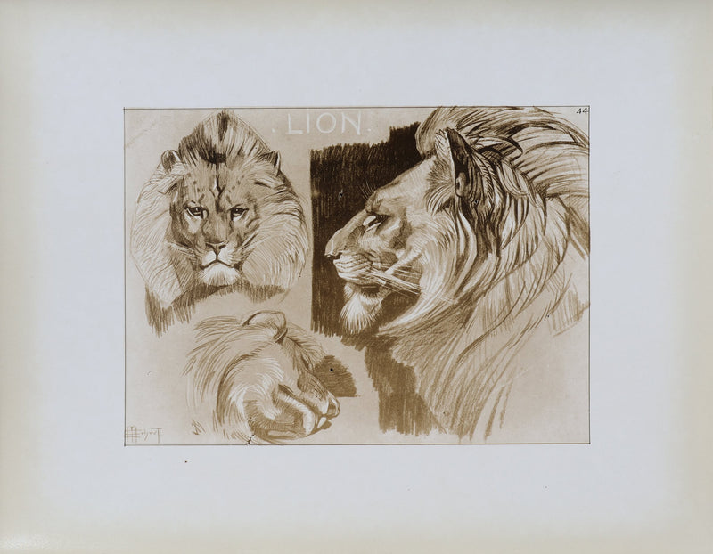 Mathurin MEHEUT : Le Lion, Lithographie signée