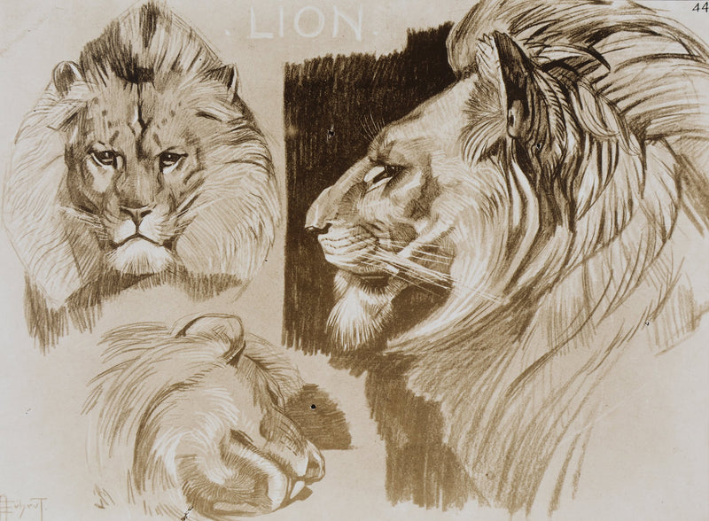 Mathurin MEHEUT : Le Lion, Lithographie signée