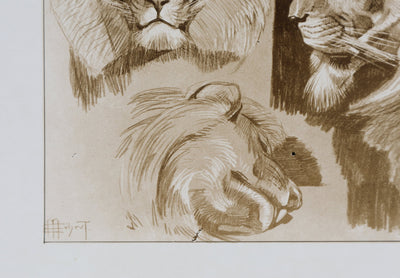 Mathurin MEHEUT : Le Lion, Lithographie signée