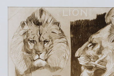 Mathurin MEHEUT : Le Lion, Lithographie signée