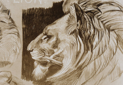 Mathurin MEHEUT : Le Lion, Lithographie signée