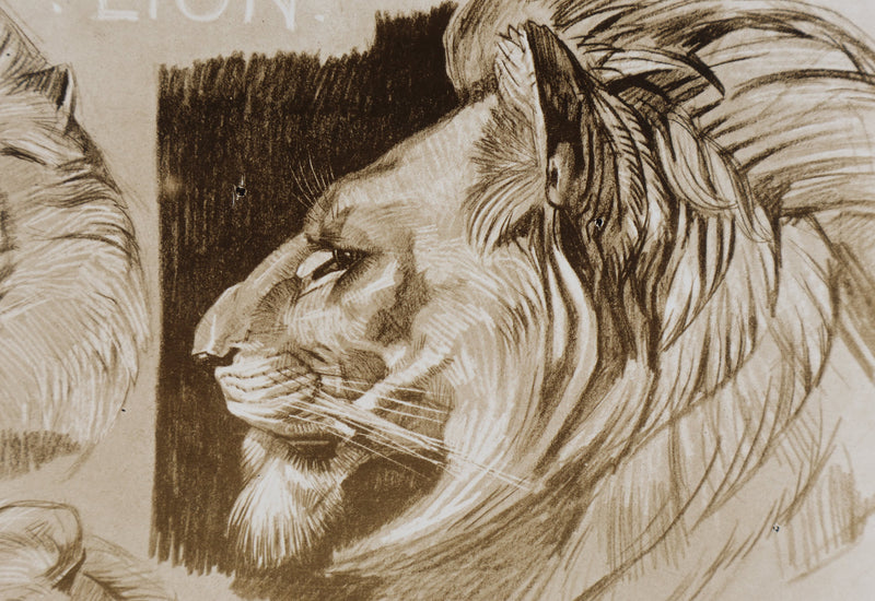 Mathurin MEHEUT : Le Lion, Lithographie signée