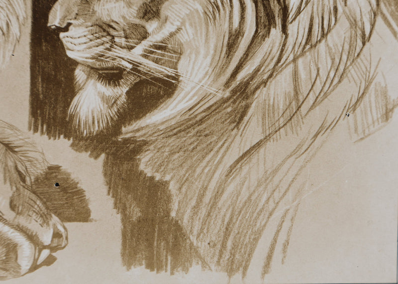 Mathurin MEHEUT : Le Lion, Lithographie signée
