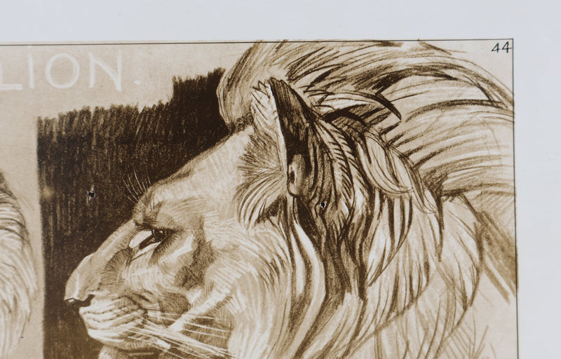Mathurin MEHEUT : Le Lion, Lithographie signée