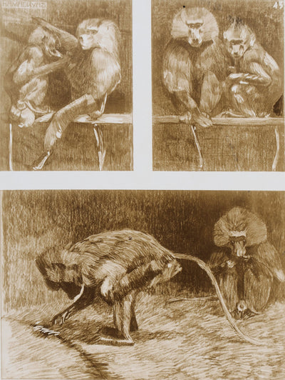 Mathurin MEHEUT : L'Amadryas, Lithographie