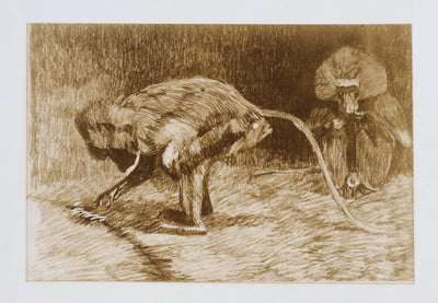 Mathurin MEHEUT : L'Amadryas, Lithographie