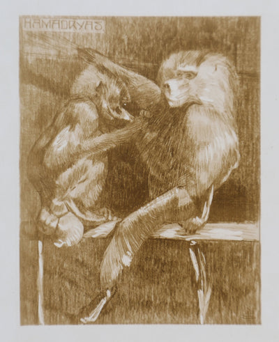 Mathurin MEHEUT : L'Amadryas, Lithographie
