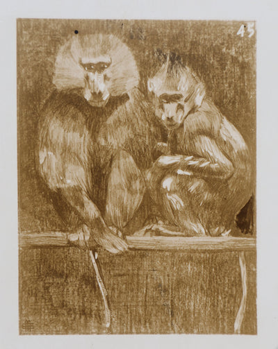 Mathurin MEHEUT : L'Amadryas, Lithographie