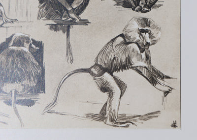 Mathurin MEHEUT : L'Amadryas, Lithographie signée