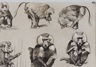Mathurin MEHEUT : L'Amadryas, Lithographie signée