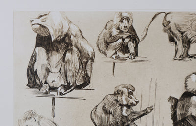 Mathurin MEHEUT : L'Amadryas, Lithographie signée
