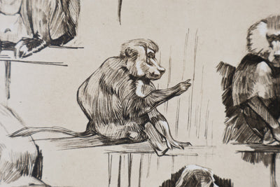 Mathurin MEHEUT : L'Amadryas, Lithographie signée