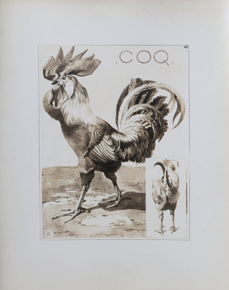 Mathurin MEHEUT : Le Coq, Lithographie signée
