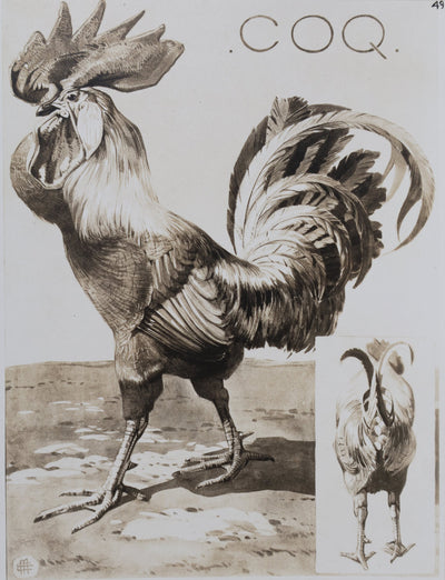 Mathurin MEHEUT : Le Coq, Lithographie signée