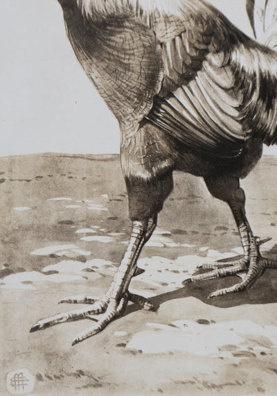 Mathurin MEHEUT : Le Coq, Lithographie signée