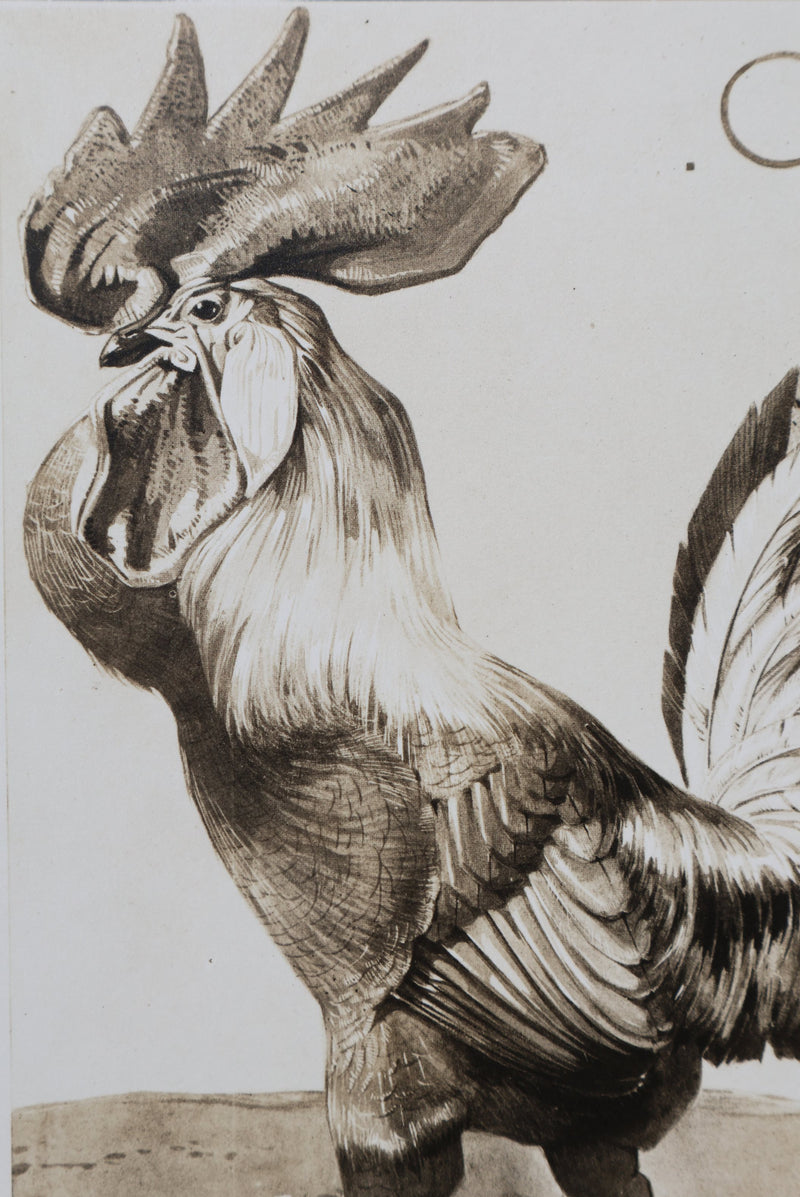 Mathurin MEHEUT : Le Coq, Lithographie signée
