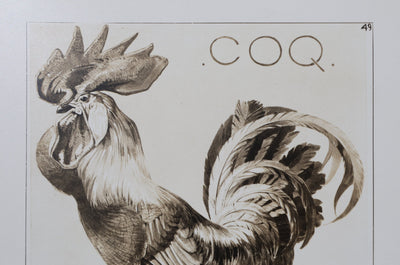 Mathurin MEHEUT : Le Coq, Lithographie signée